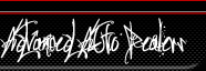 web designer