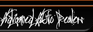 web designer for select auto