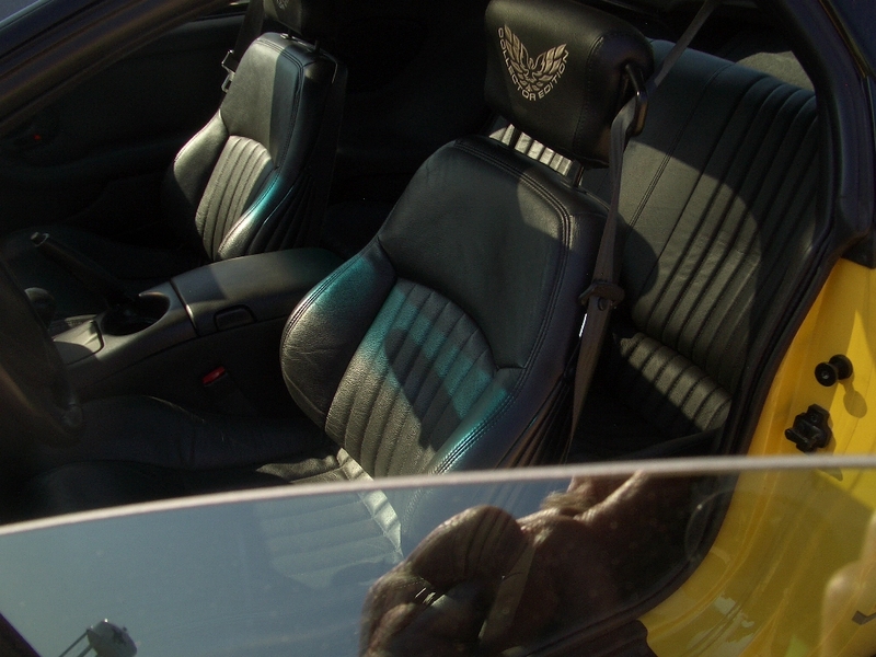 2002 Pontiac Firebird Trans Am w/ WS6 Performance Pkg LIKE NEW Coupe